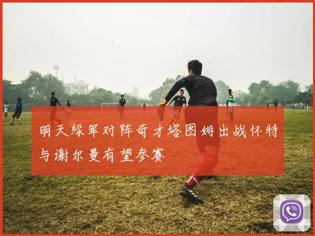 明天绿军对阵奇才塔图姆出战怀特与谢尔曼有望参赛